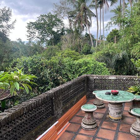 Rumah Kelinci Ubud Exteriör bild