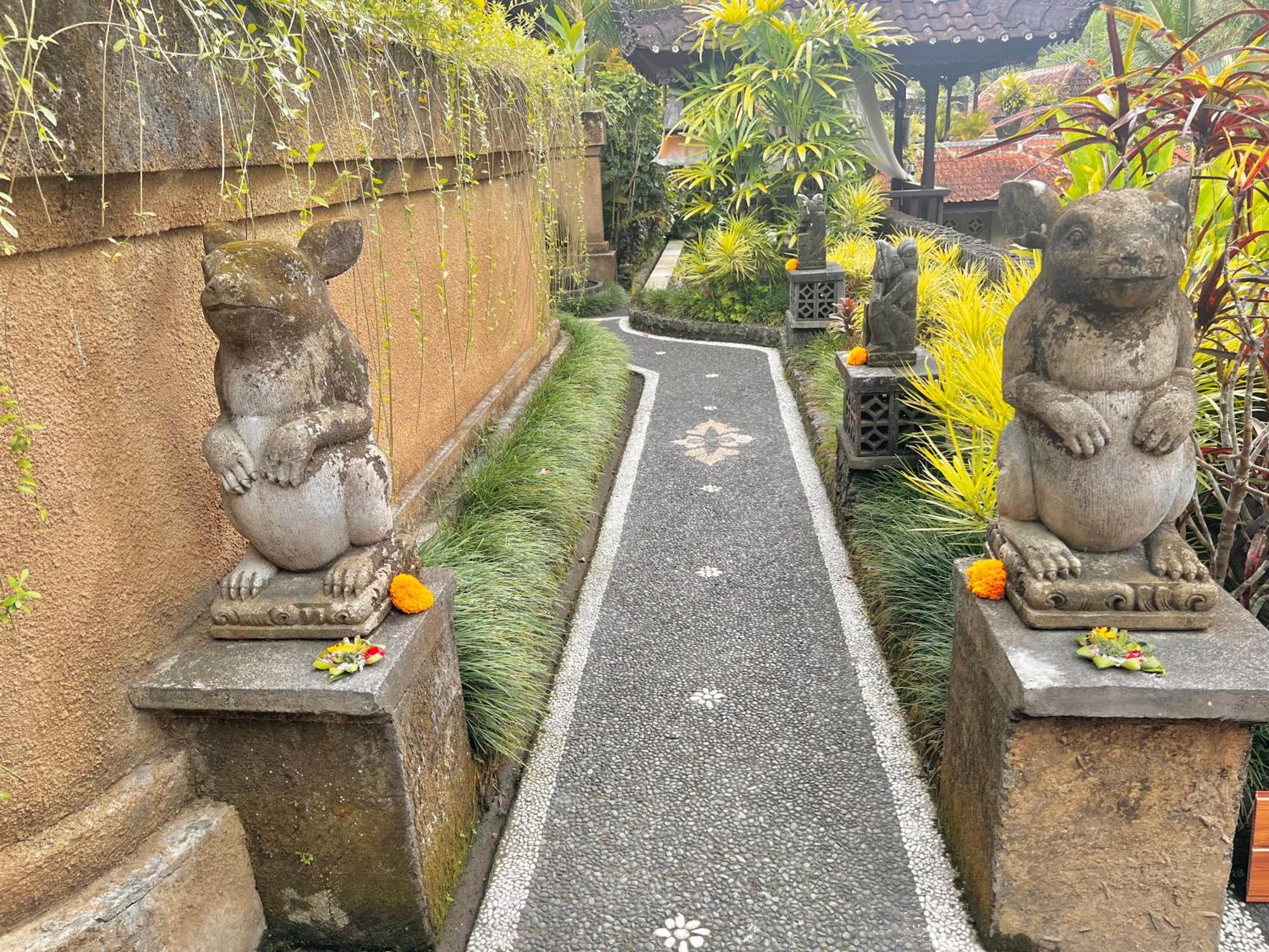 Rumah Kelinci Ubud Exteriör bild